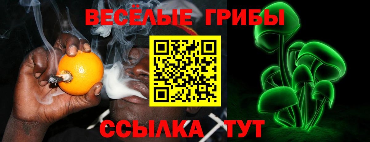 Псилоцибиновые грибы Cubensis  где продают наркотики  Можайск  Вход с VPN 